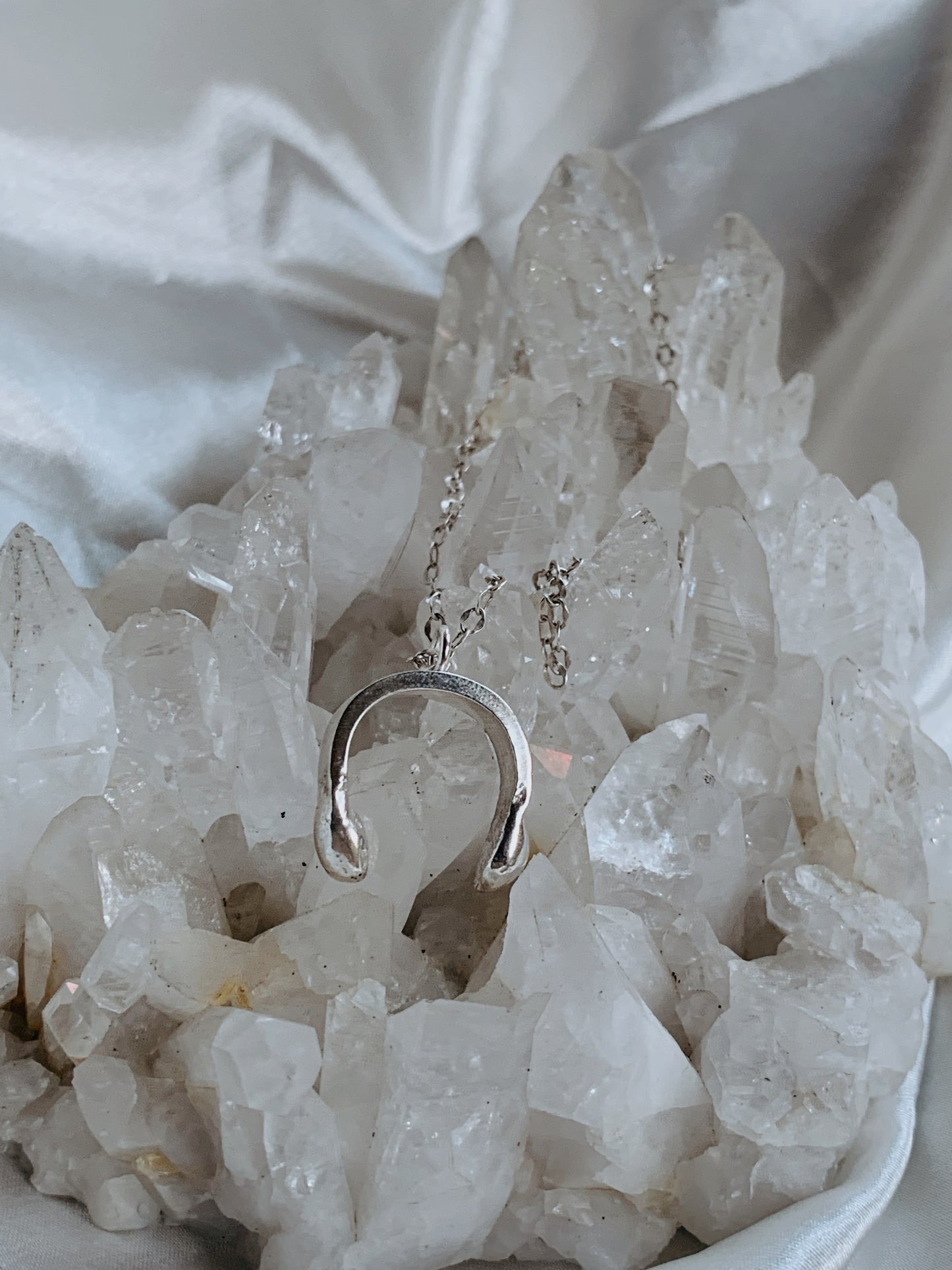 Silver Horseshoe Drop Necklace