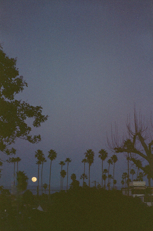 Archive #020: Oceanside Moonrise | 35mm color film
