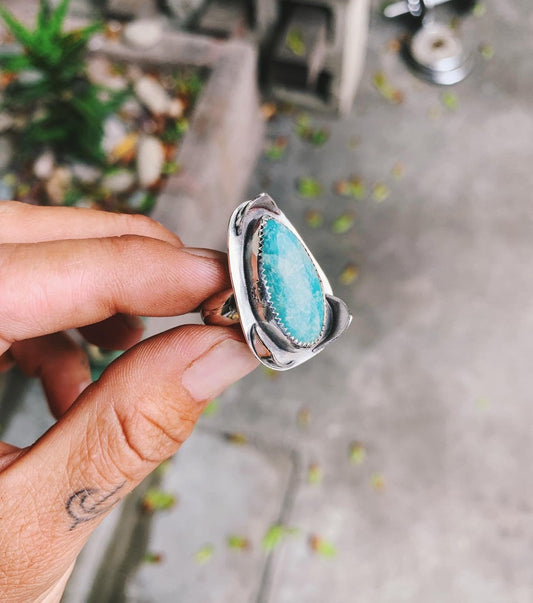 The Protector Ring