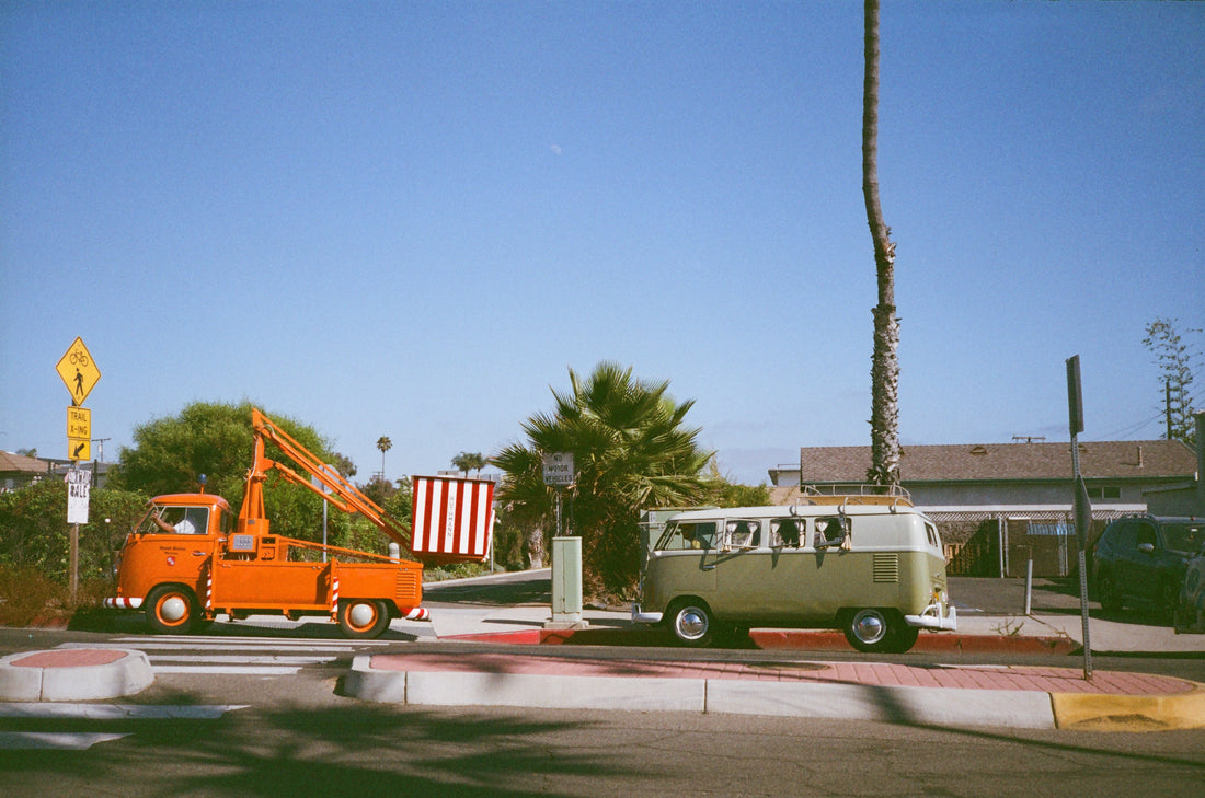 Archive #004: Cherry Picking | 35mm color film