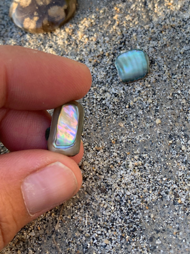 Treasures from the Sea Shore: Lake Michigan Sea Glass, Raw Abalone, and Making Art from Found Objects