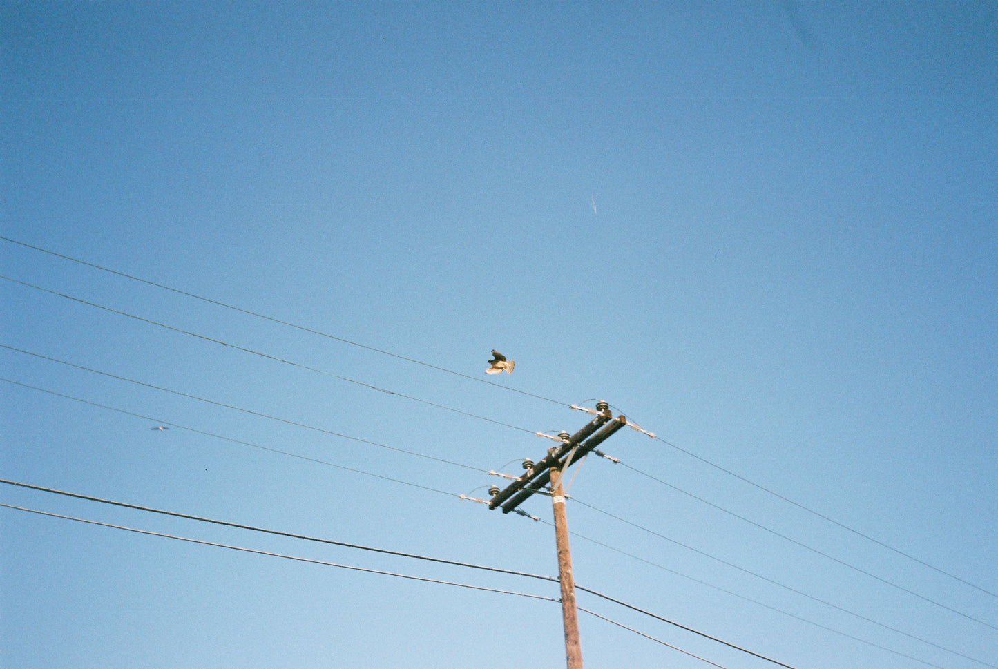 Postcard Prints From California