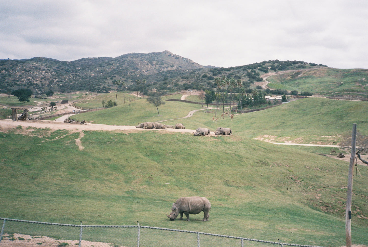 Postcard Prints From California
