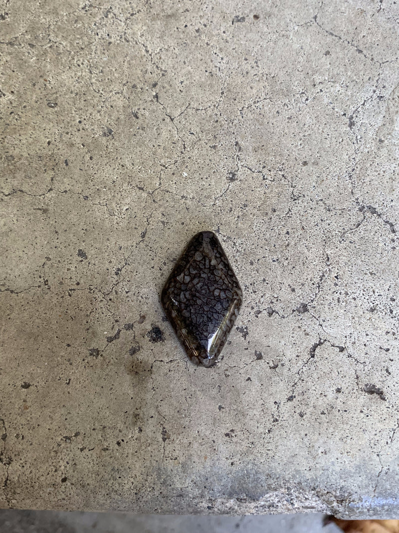 Dino Bone Cabochon
