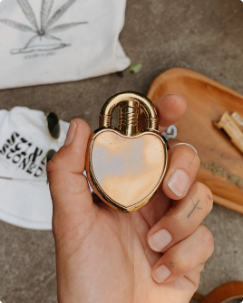 Handbag, Wallet Accessories