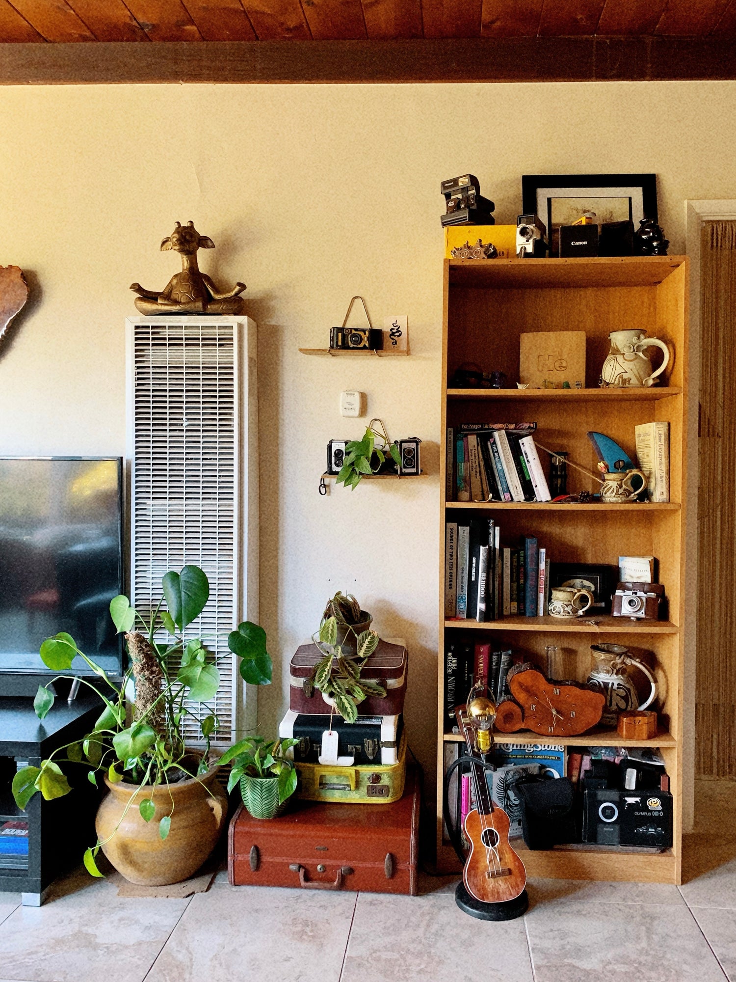 Mid-Century Modern Living Room used for hydro flask product shoot in oceanside studio