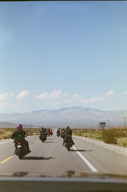 LNM13