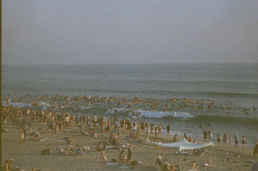 SSC15
